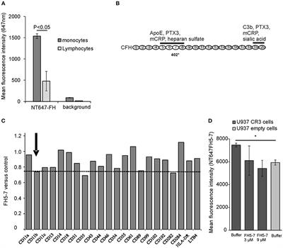 Complement Factor H and Apolipoprotein E Participate in Regulation of Inflammation in THP-1 Macrophages